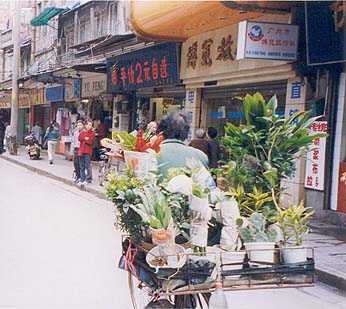 A Typical Street