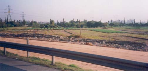 Guangdong Field